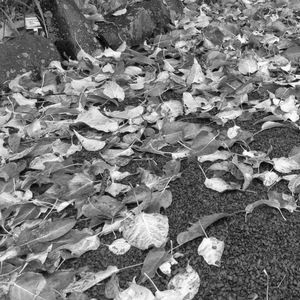 Meet your Posher, Rylie